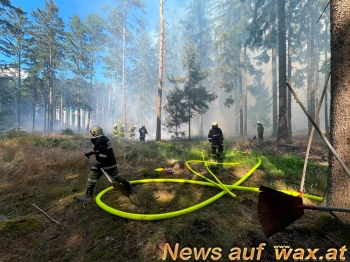 wax.at News